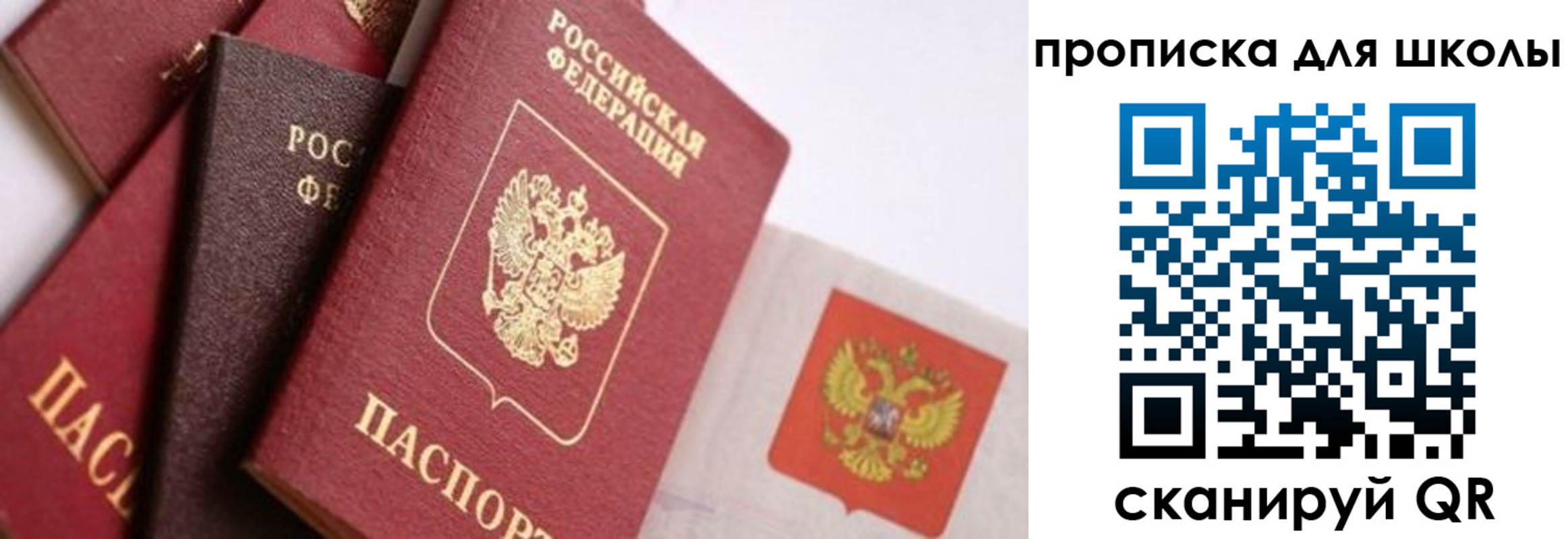 прописка поиск в Кинешме
